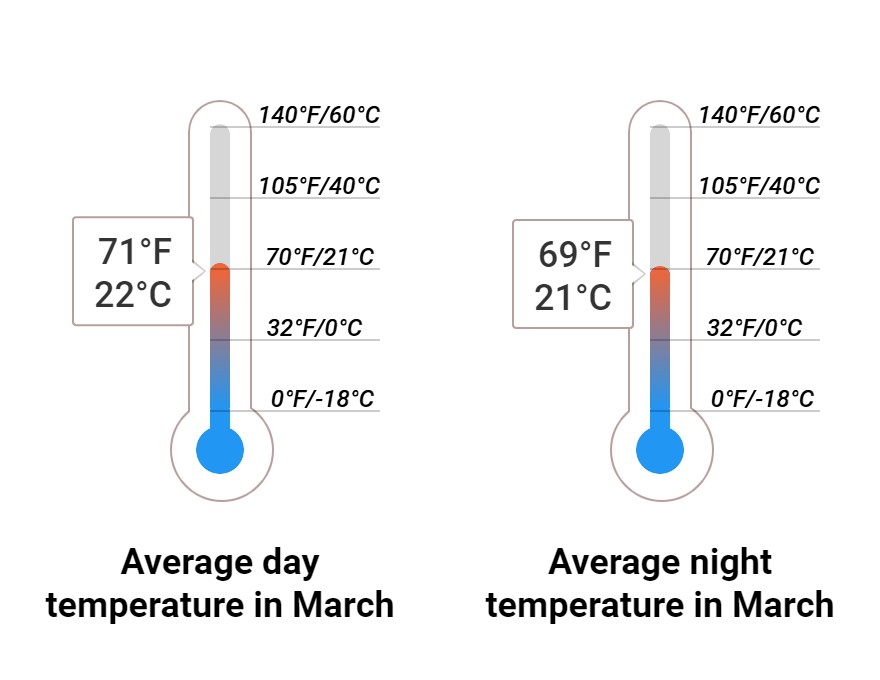 What to do in March in Lihue, Hawaii 2025 Winter Sun Expert